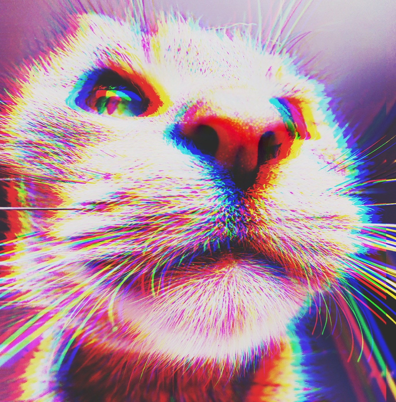 Spirits single cover: a cat's face in vivid pink, yellow, blue, and green